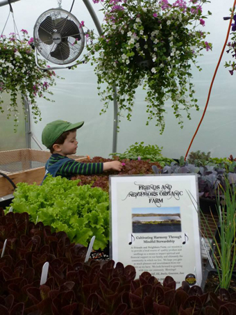 child looking at plants